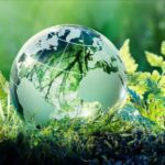 Экология – это важно