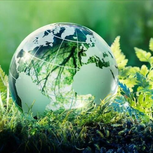 Экология – это важно